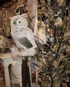 Indulgences Gifts And Decor: More Owls
