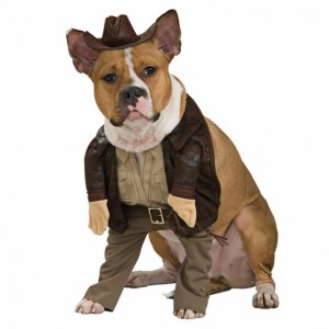 Most Funny Dog Costumes