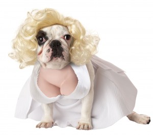 Sexy Halloween Costumes for Dogs